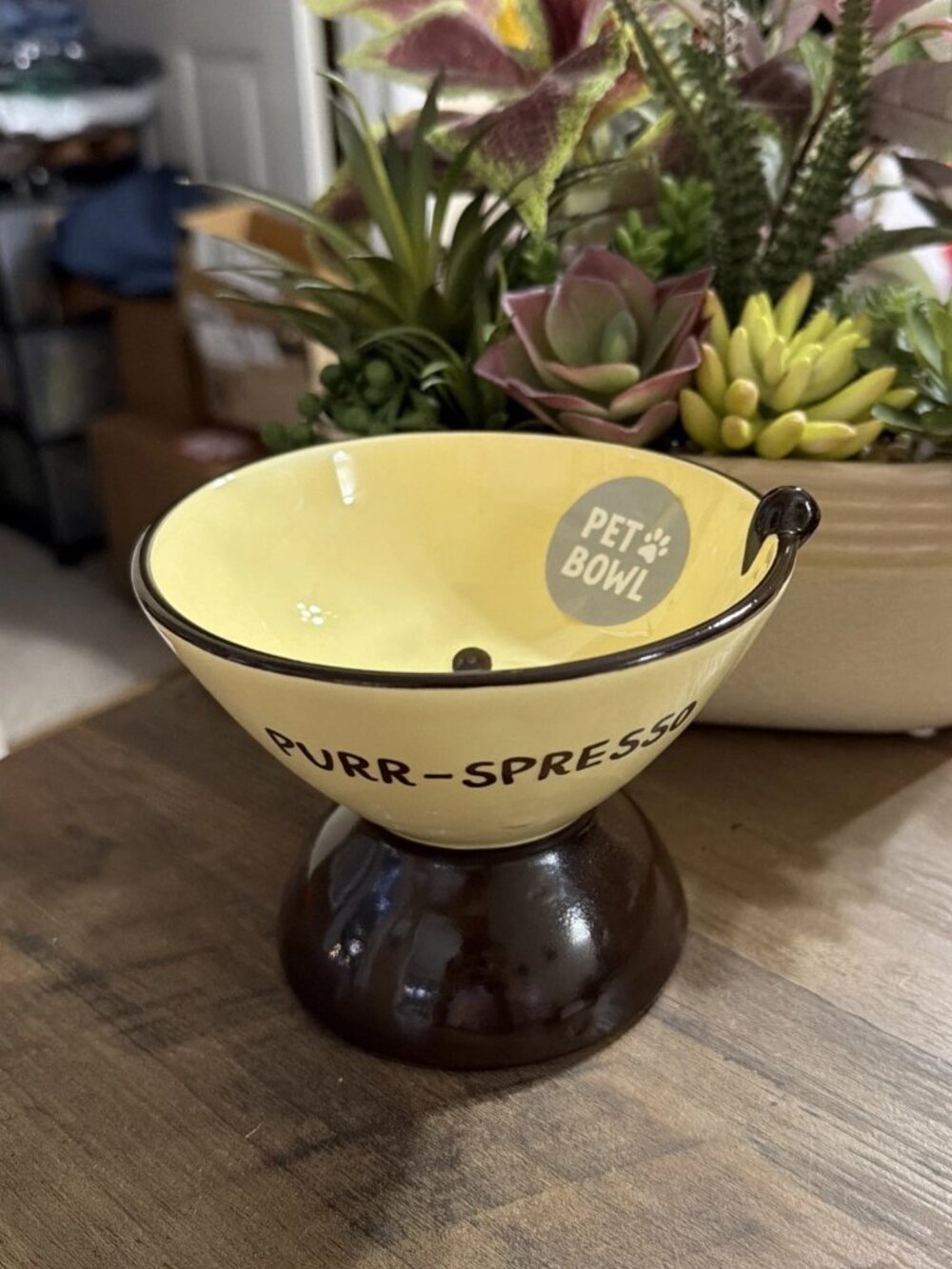 ECCOLO Purr-spresso Martini Elevated Cat Bowl